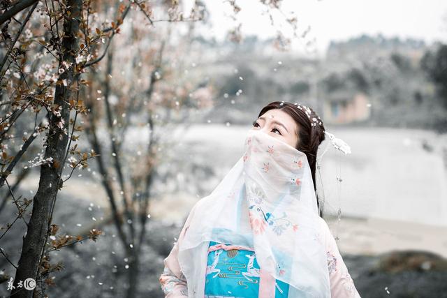 小说：扫货本领哪家强？小小舞姬逛街疯狂购物，失宠传闻不攻自破