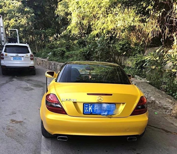 北京女模特为男友买车,美女模特诈骗奥运冠军案