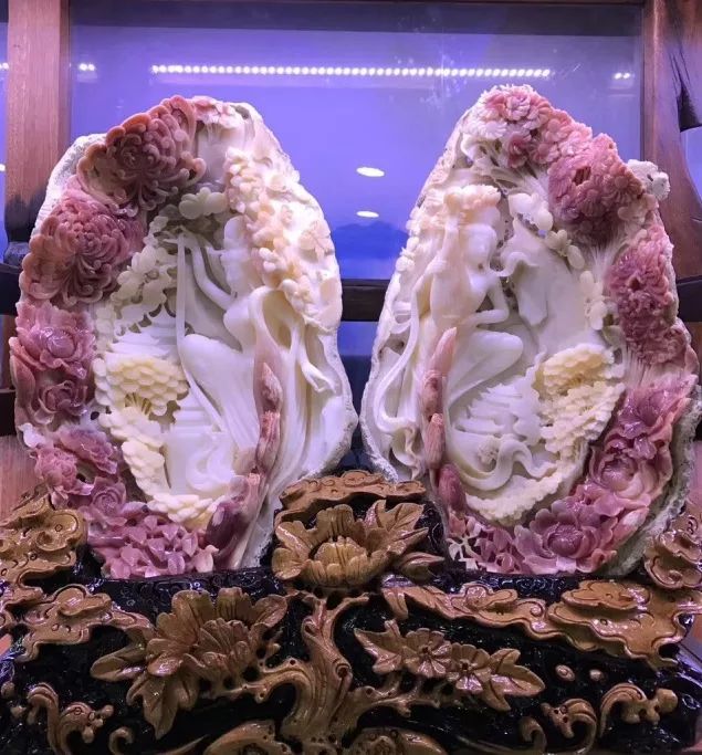 世界上最珍稀的珍珠贝壳,最大的贝壳珍珠