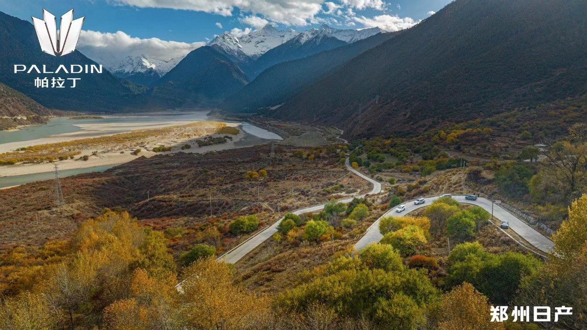 达喀尔拉力赛帕拉丁2004年,尼桑帕拉丁达喀尔拉力赛