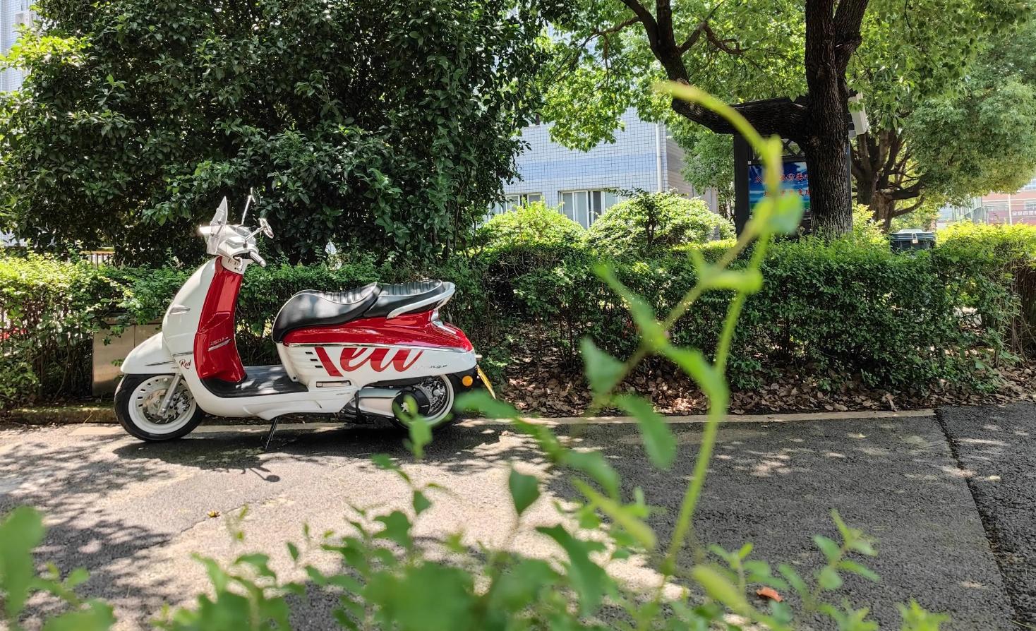 踏板才是骑士的归宿,踏板为何是归宿