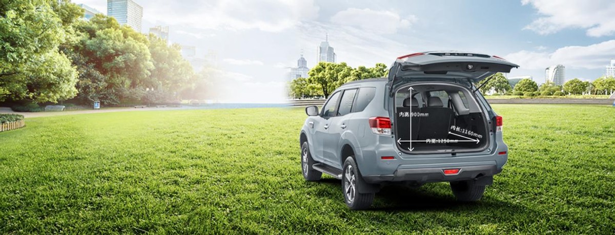 新款帕拉丁可不可以换成尼桑标,新款帕拉丁能换车标吗