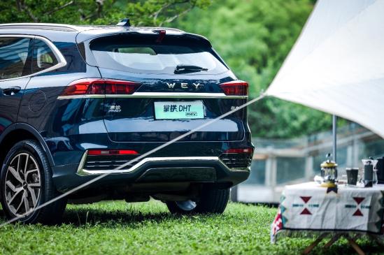 魏牌拿铁dht-phev超大杯值得购买吗,魏牌拿铁dht与dht-phev怎么选