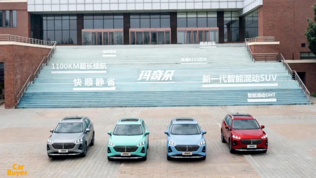 wey玛奇朵用车感受,wey玛奇朵到底省不省油