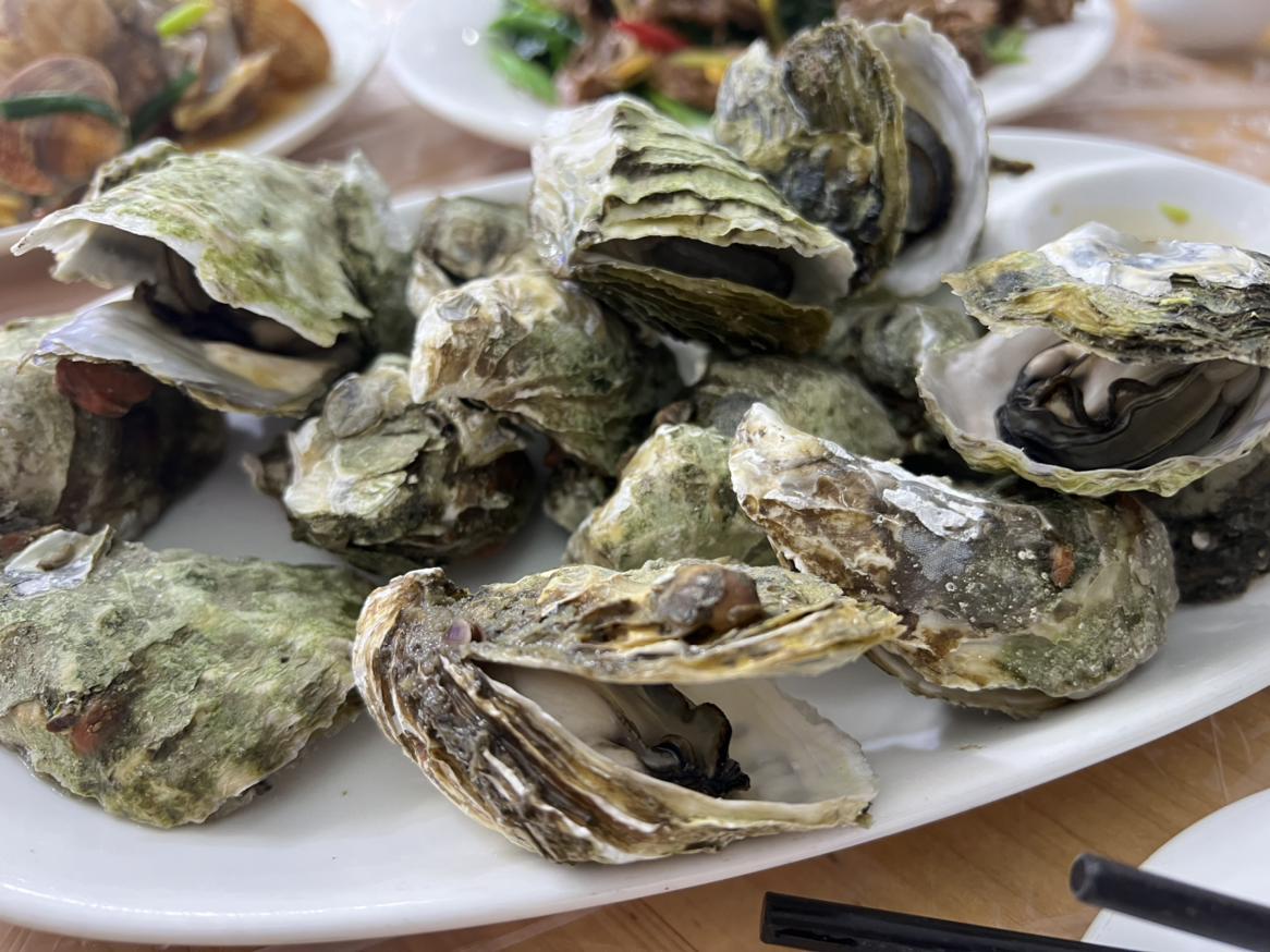 分享自驾游旅行真实的感受,阳光自驾游攻略2天1夜