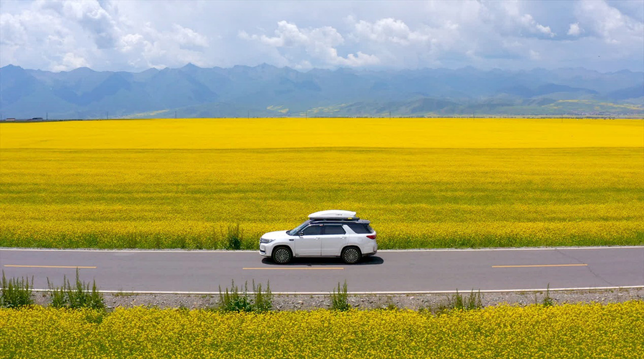 放弃a6选择ct6,放弃奥迪a6选择辉昂