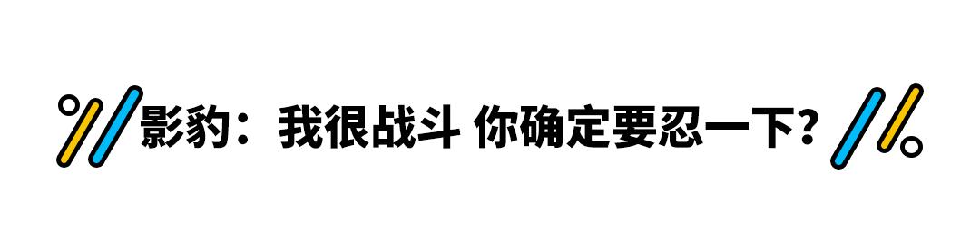 10万左右性价比高的车影豹,传祺影豹10万轿跑
