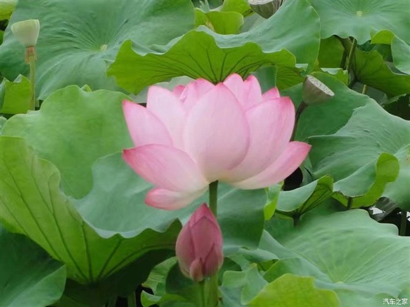 开着奕炫max,奕炫max超炫潮爸版自驾游