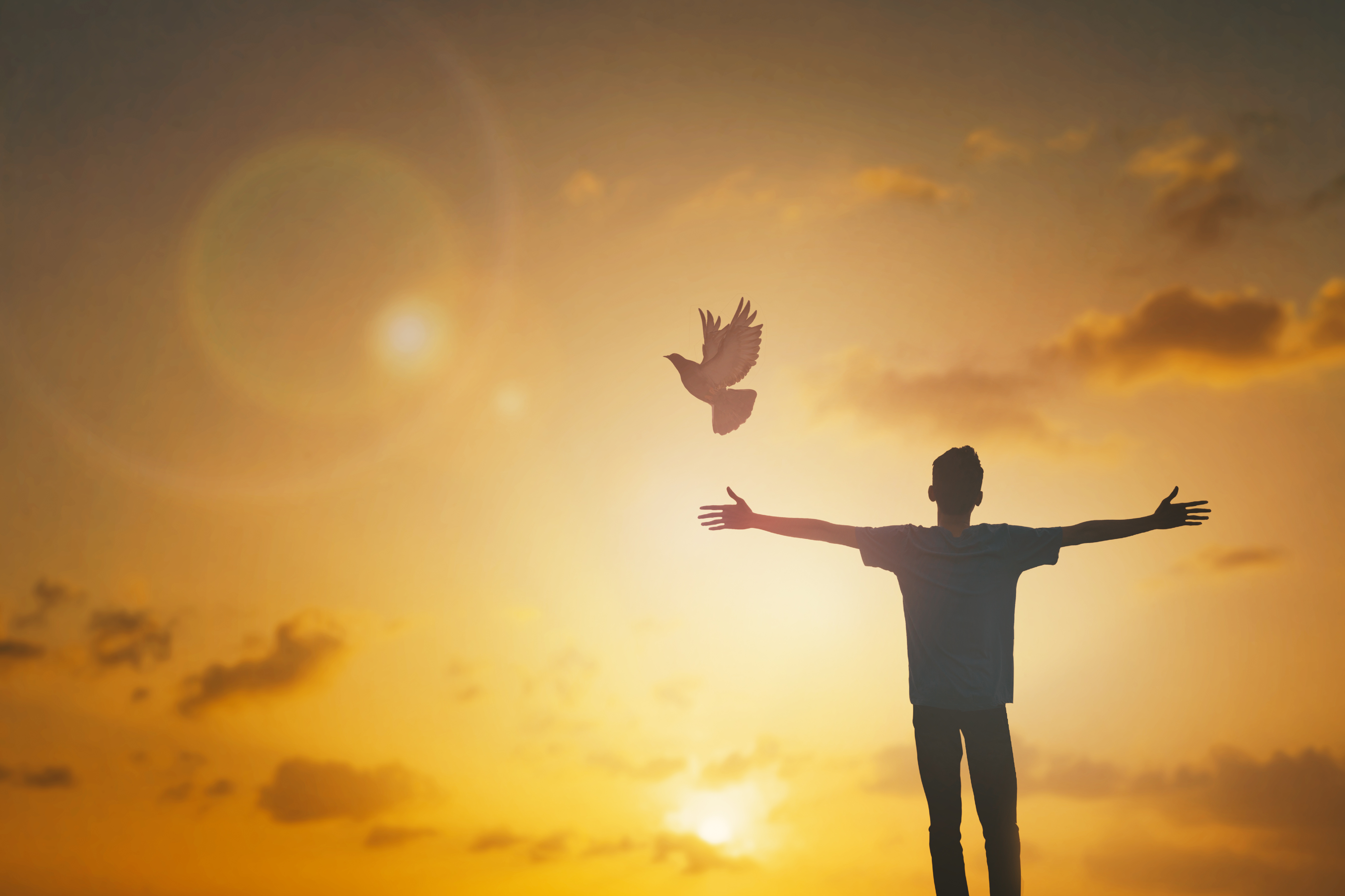 夏洛蒂勃朗特文学常识,夏洛蒂勃朗特创作了几部小说