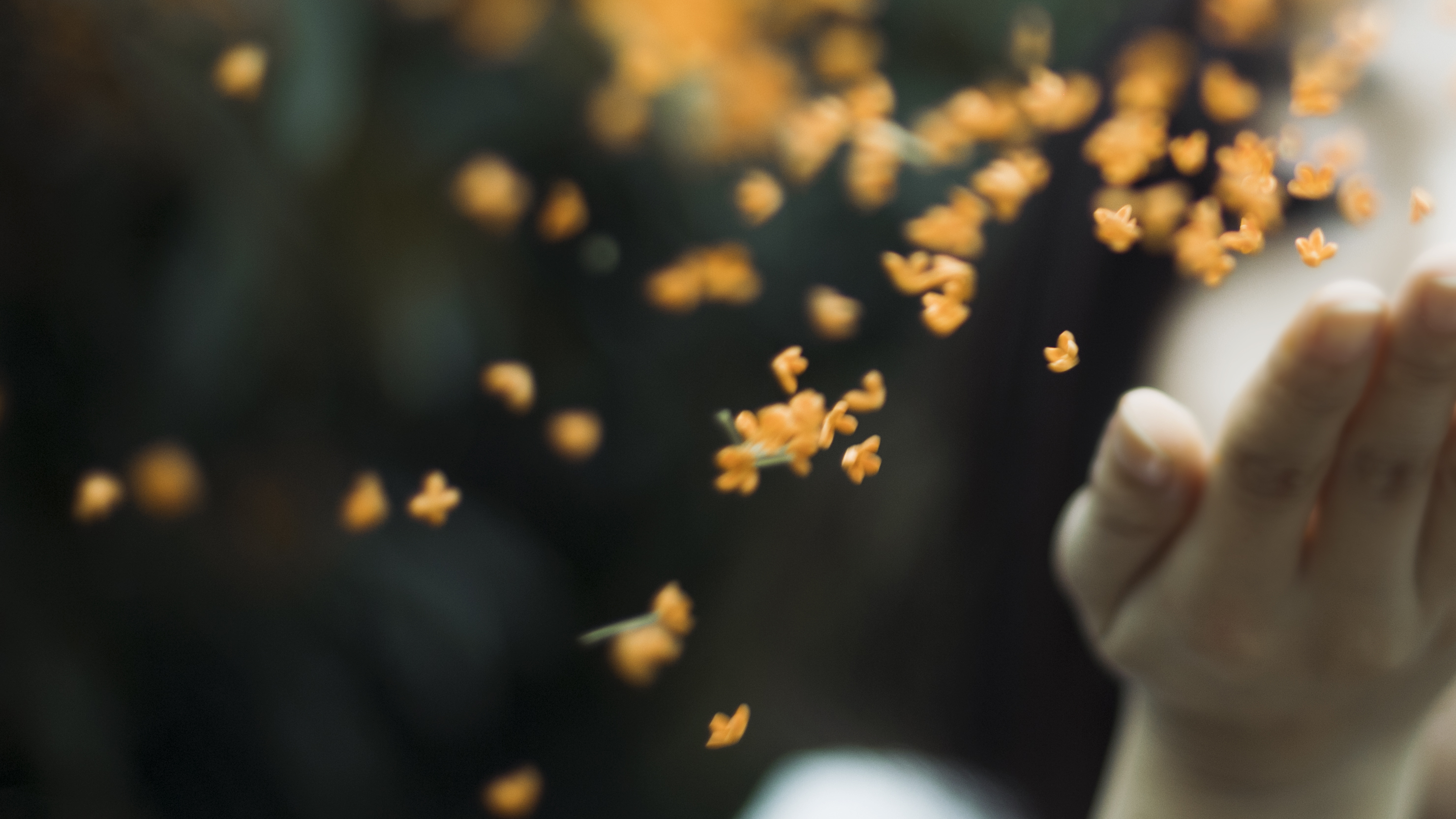 老年痴呆后总是藏钱,老年痴呆患者老藏东西怎么办