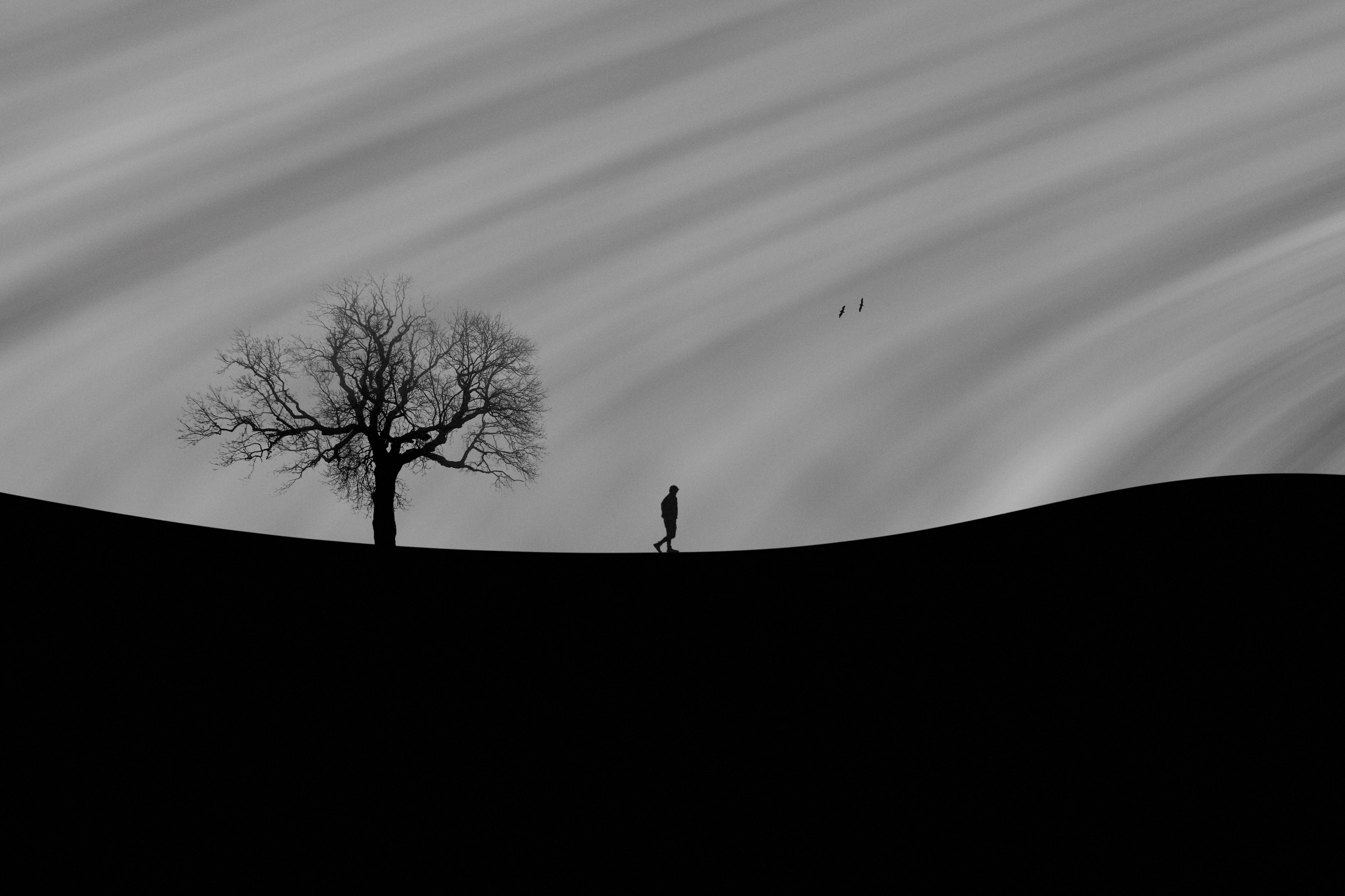 英国女王伊丽莎白二世传奇,英国女王伊丽莎白一生故事