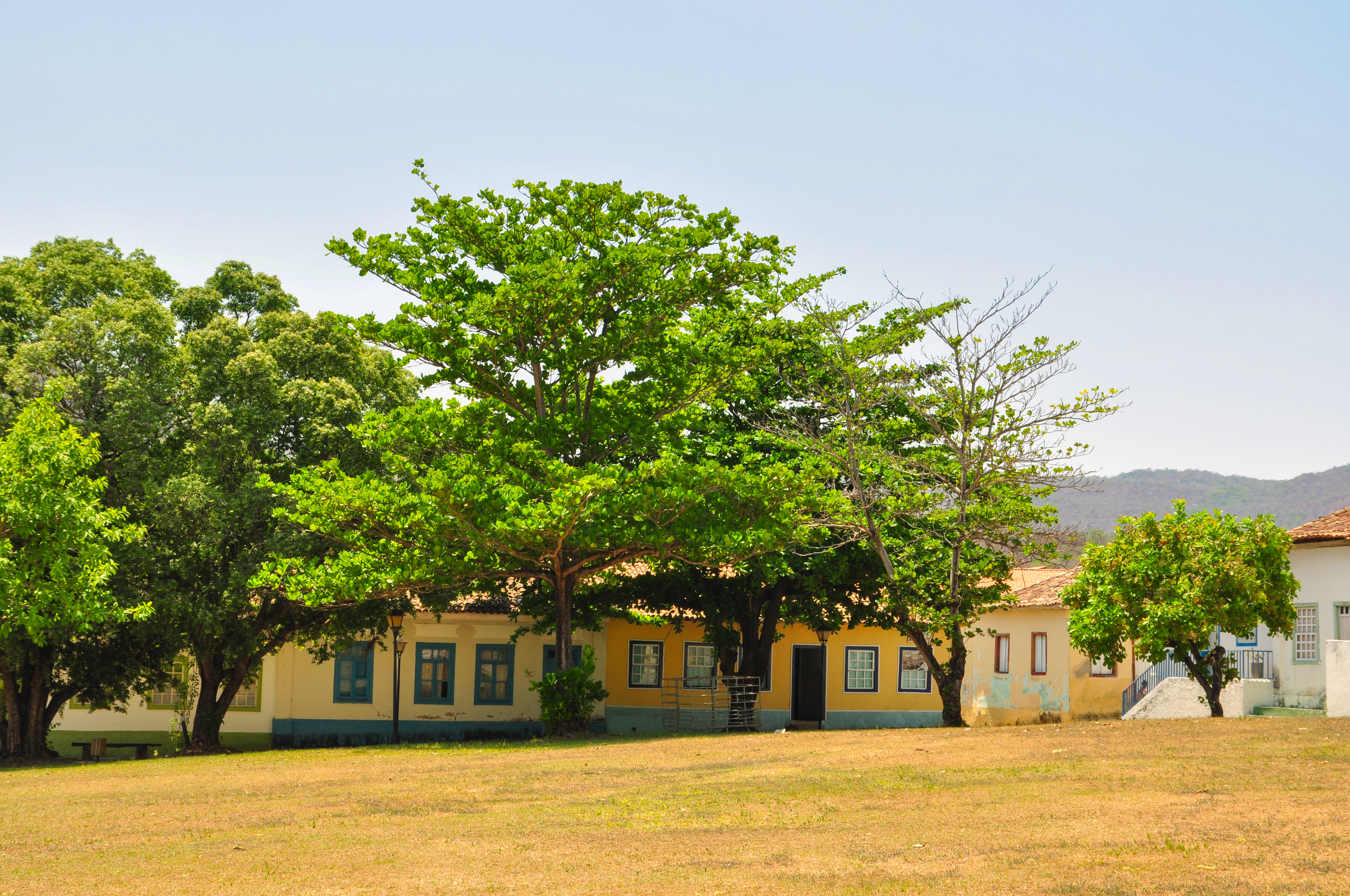 波拉尼奥经典段落,波拉尼奥作品全集