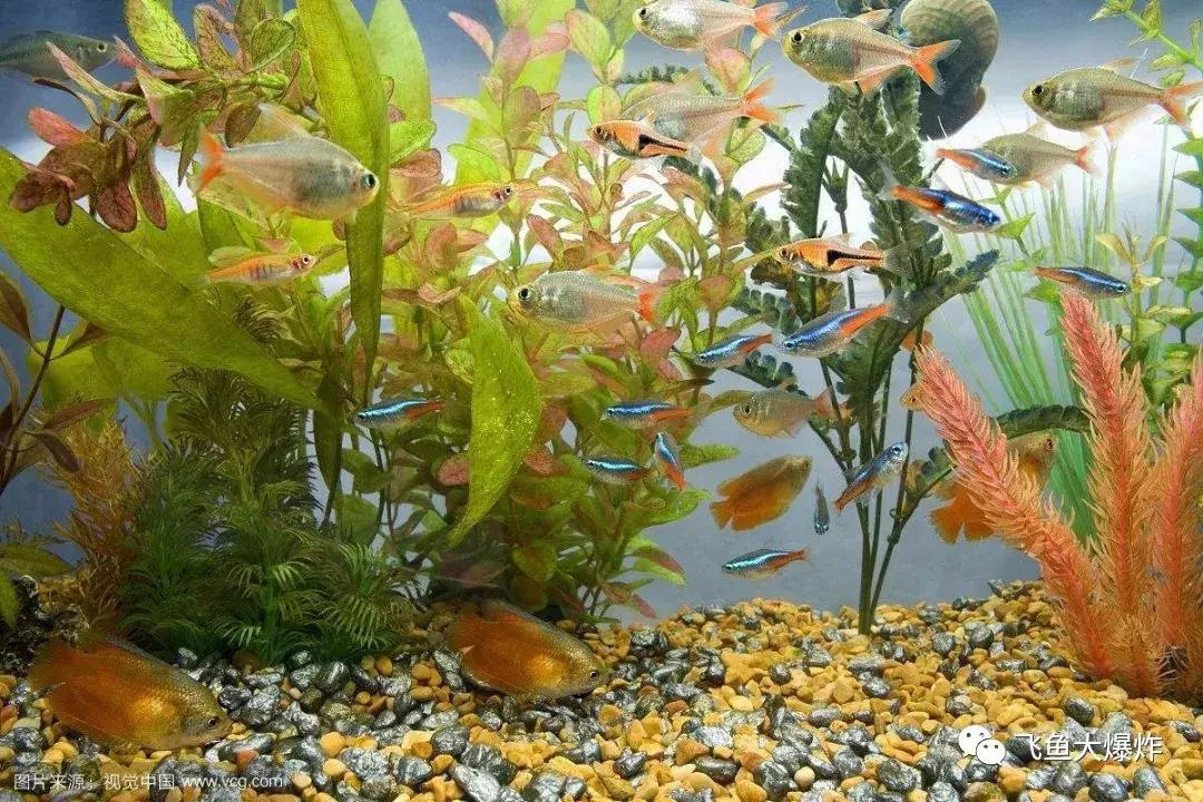 臭氧除菌，你用过吗？