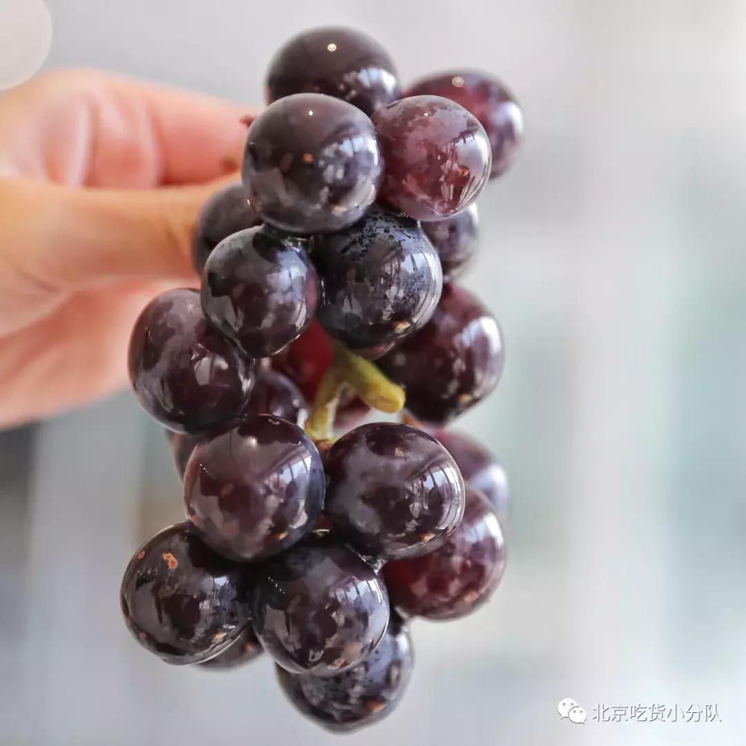 喜茶卖瓶装饮料是对的吗,喜茶踩箱喝