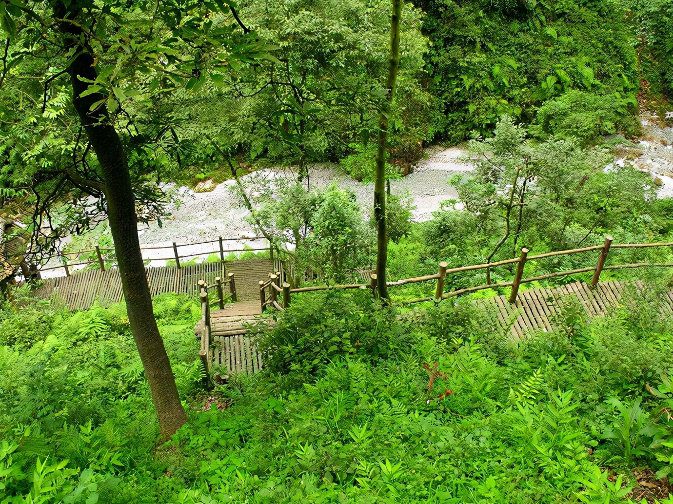 峨眉山防猴方法,峨眉山怎么防御猴子
