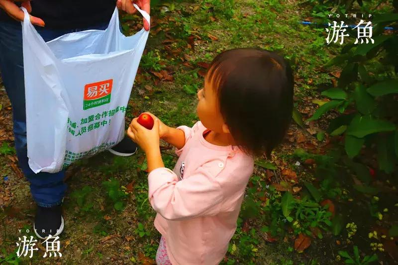 希尔顿兴隆湖,希尔顿酒店兴隆店
