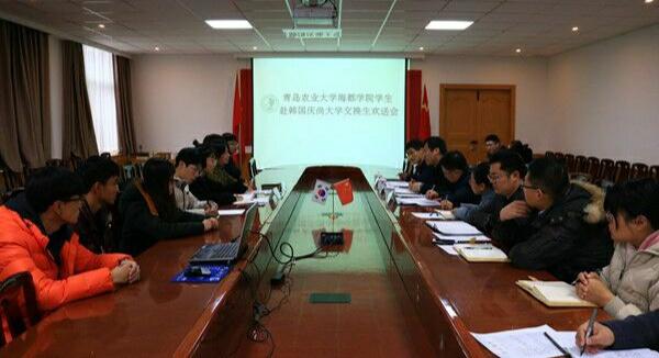 青农大山东分数线,青岛海都学院含金量高吗