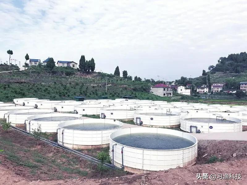 室内大规模工厂化养鱼技术和设备,玻璃钢养鱼池养鱼怎么样