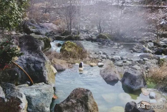 2018年冬天必去泡的日本温泉！