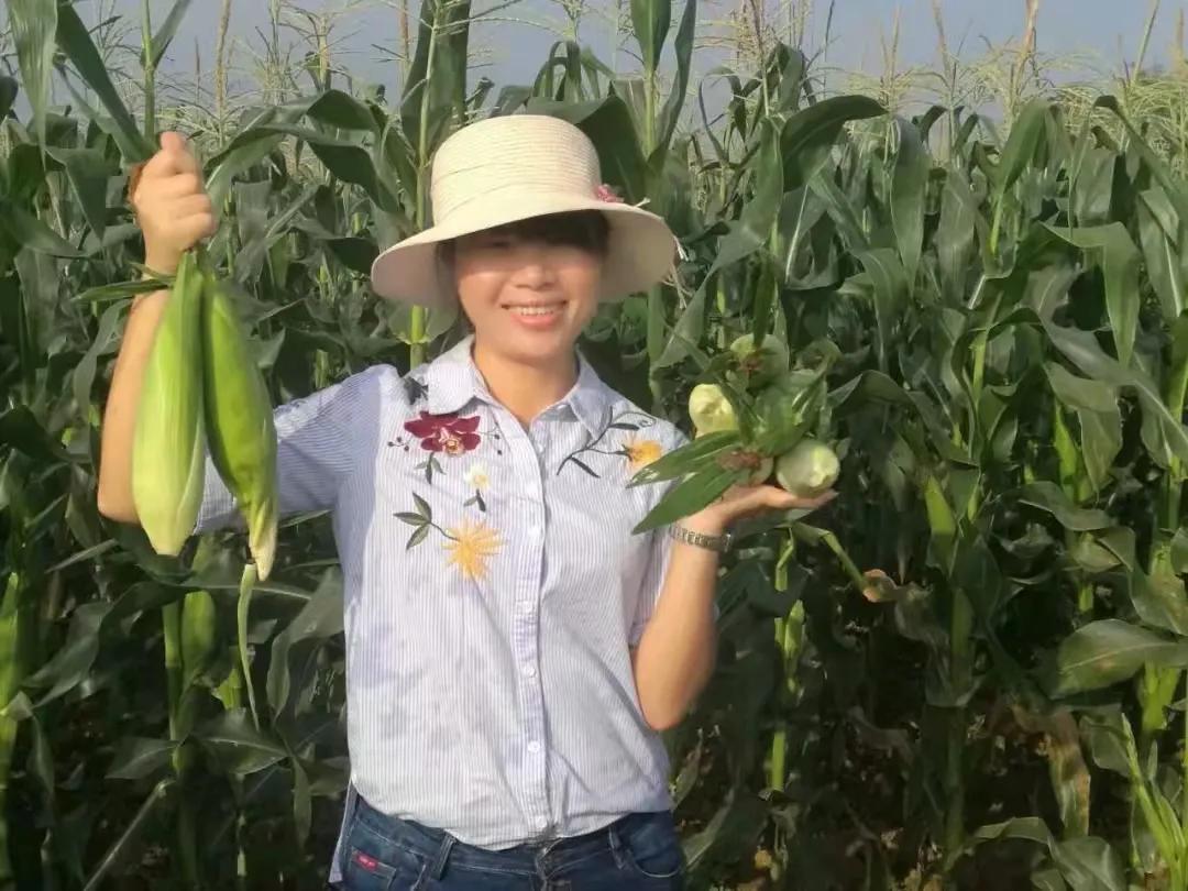 超香甜糯玉米图片,很好吃很糯的玉米