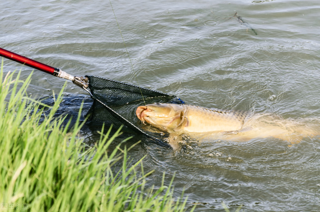钓到大鱼正确的溜鱼法,老钓手操作视频