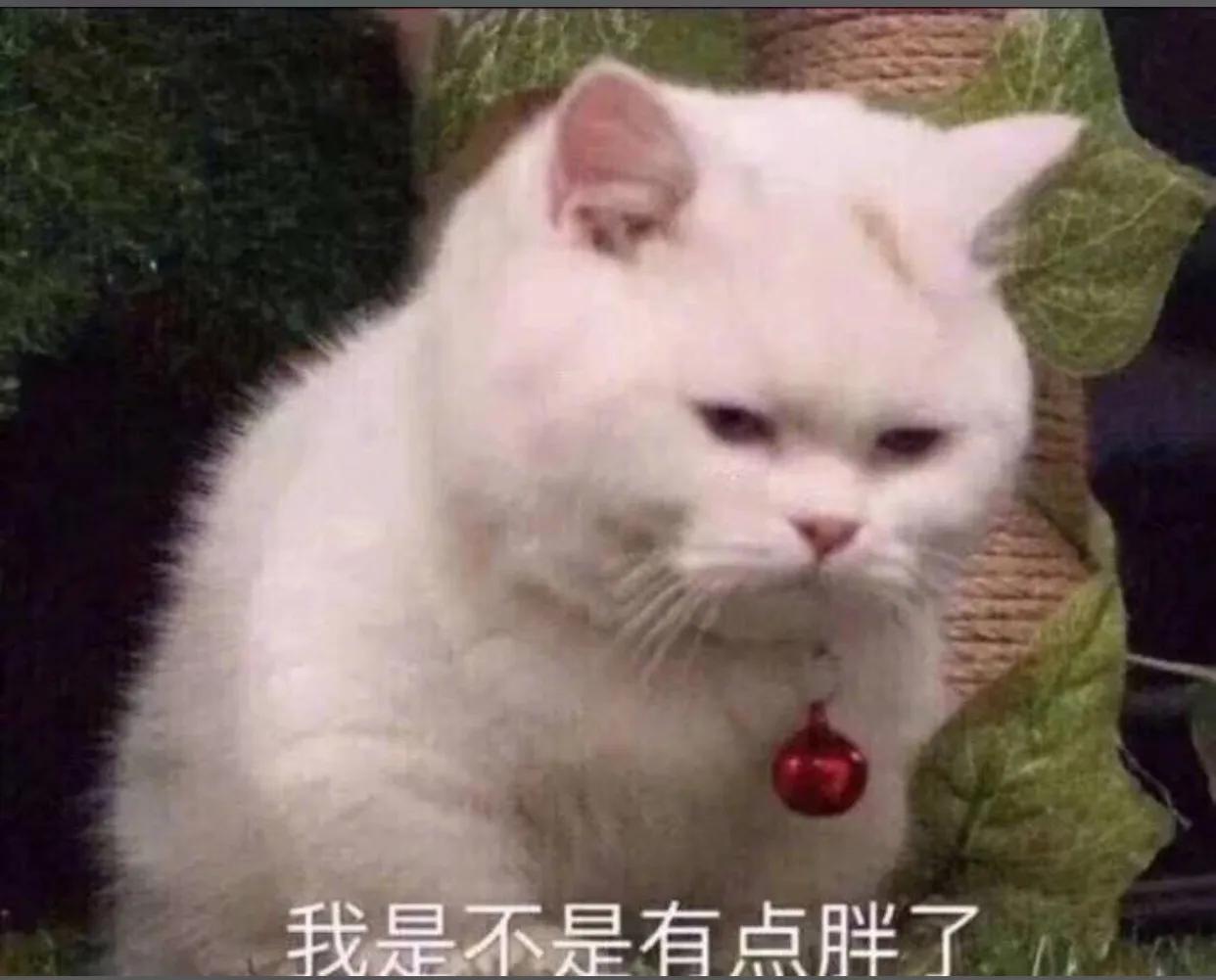 表情包大户第一弹,表情包大户就是我