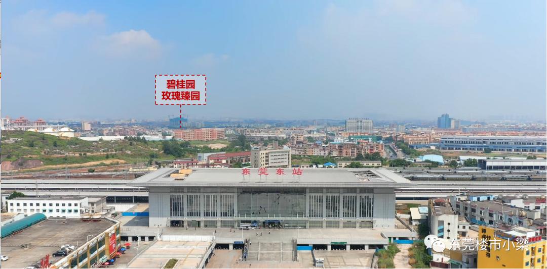 疫情后楼盘首开,东莞碧桂园玫瑰臻园户型图