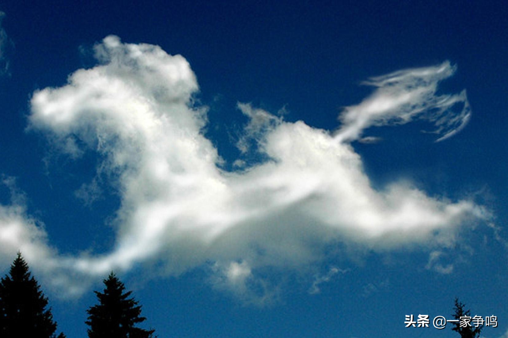 神马都是浮云的意思是什么,神马都不是浮云什么梗