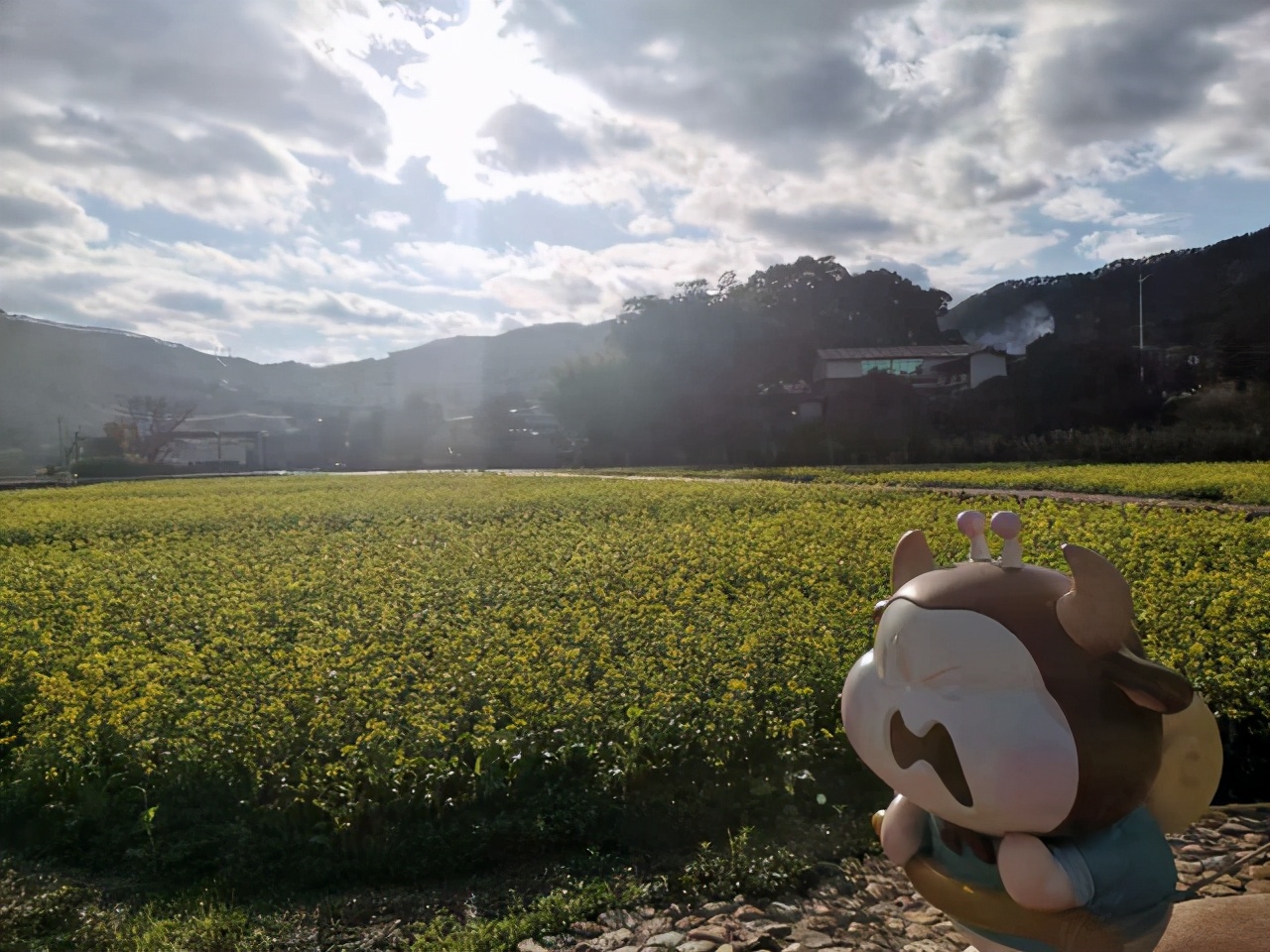 蜗牛里的春天视频素材,蜗牛的春天免费观看