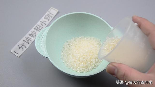 家里有老鼠不用急一招让它团灭,家里老鼠成灾怎么办牛人教你一招