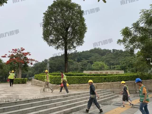 深圳光明究竟有多火？走了一圈才发现，比你想得还夸张