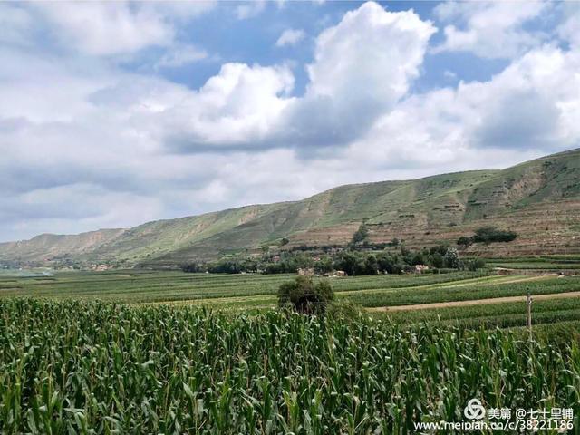 大美汨罗我的家,大美宝丰我的家