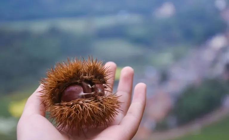 今天宜良景点哪里好玩,宜良好玩的夜景