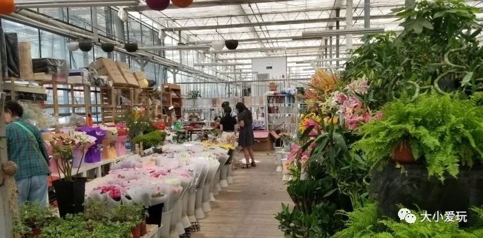 可以逛的花卉市场,值得去看的花卉市场