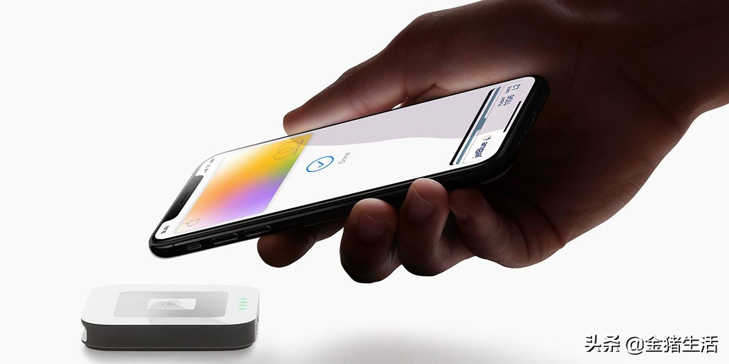 金猪数字app,金猪app是啥东西