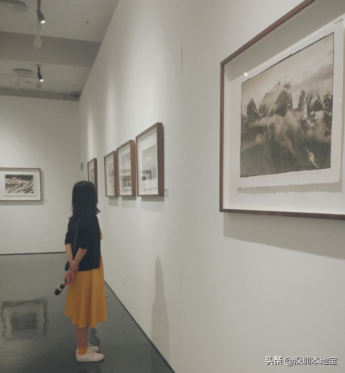 深圳最值得免费去的十大景点,深圳有哪些地方是免费景点