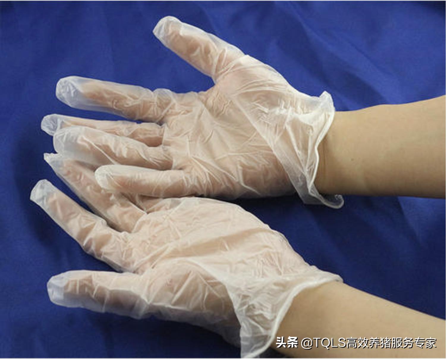 公猪精子在哪里化验呢,公猪精子活力的检测方法