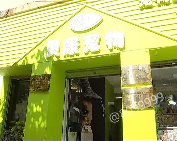 办了狗证有什么权利,狗证是一年一办吗