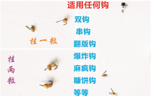 一种神奇钓法世代相传能钓各种鱼,四川钓谷麦的正确方法