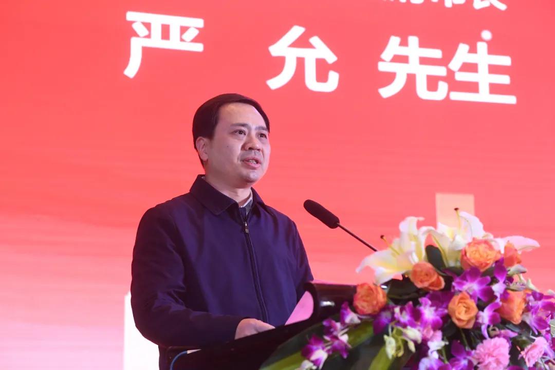 对接融入粤港澳大湾区建设的举措,对接大湾区深度融入珠三角