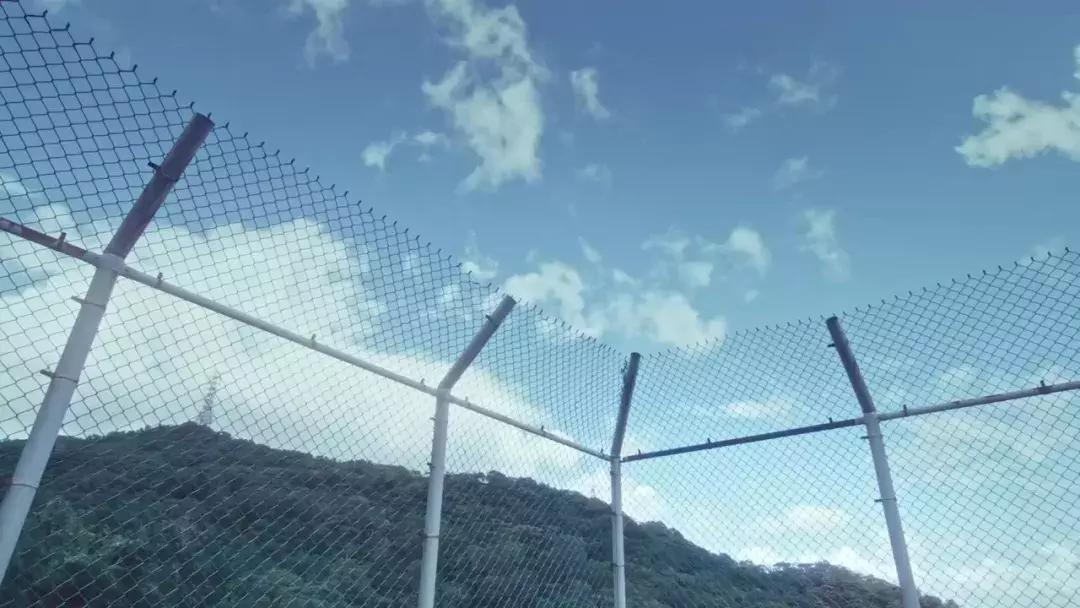 双性不奇情！女友变男友，你能接受吗