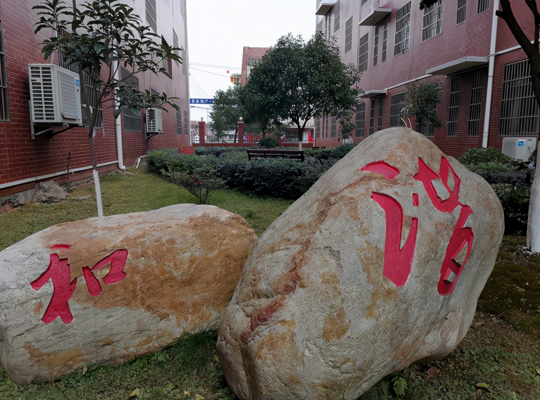 武穴市花桥镇花桥小学,花桥镇小学排名