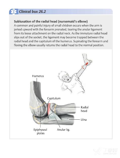 小孩胳膊牵拉肘脱臼症状,小孩牵拉肘和肘关节脱臼区别