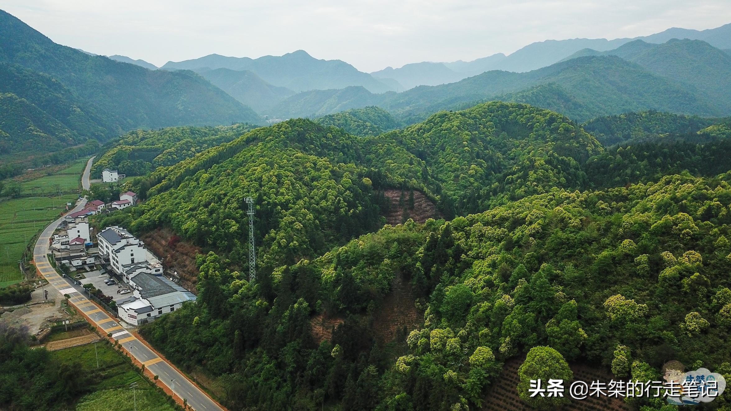 安徽石台体验不一样的自然风光,石台县原始森林