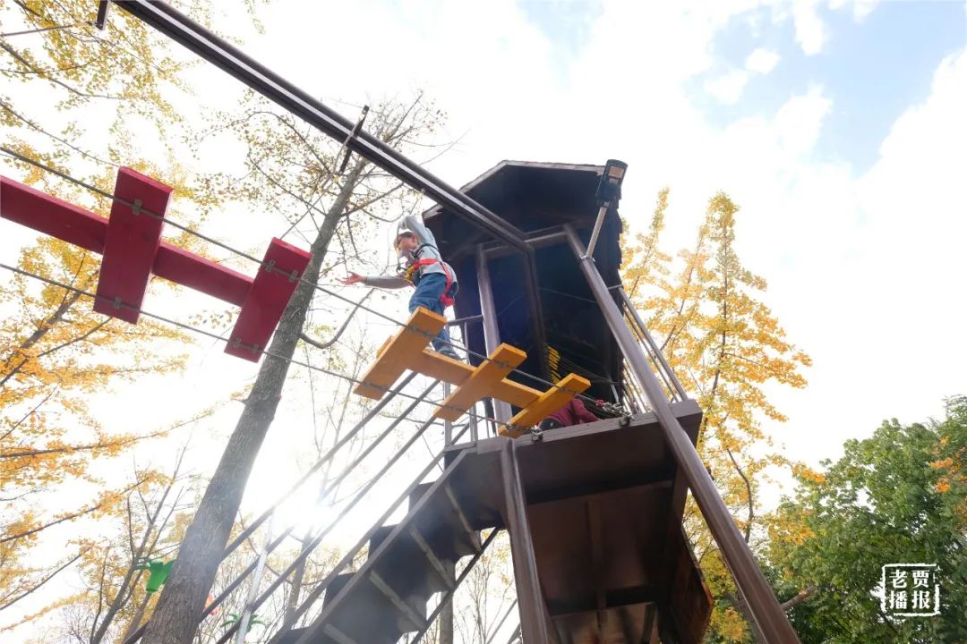 洛阳最新免费公园,洛阳公园免费