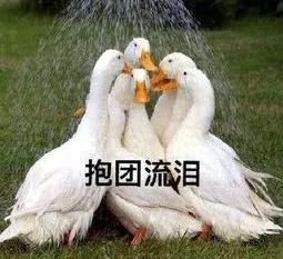 中考加分高考还加分吗,高考中考可以加分的44个项目