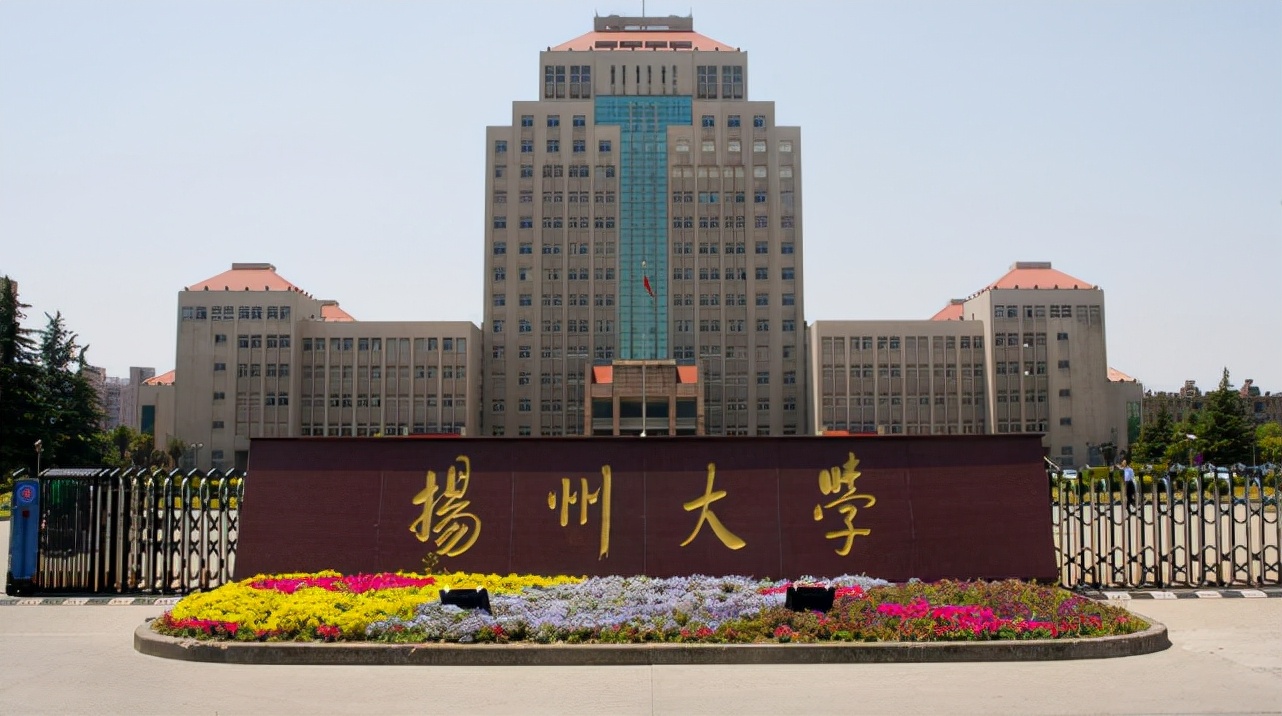 深大为什么不是双一流大学,深大是否可入选下一轮双一流大学