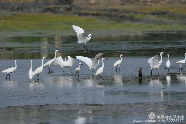 乡土田野的散文,乡土散文遥望麦田