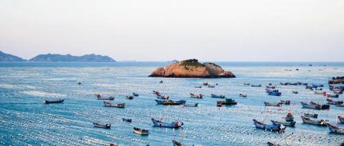 2020浙江嵊泗列岛攻略,浙江嵊泗市场