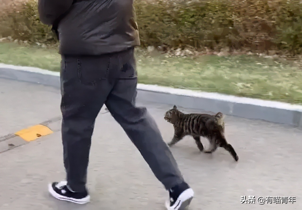 24岁男子喜当爹去派出所,90后男子相亲被误当爹